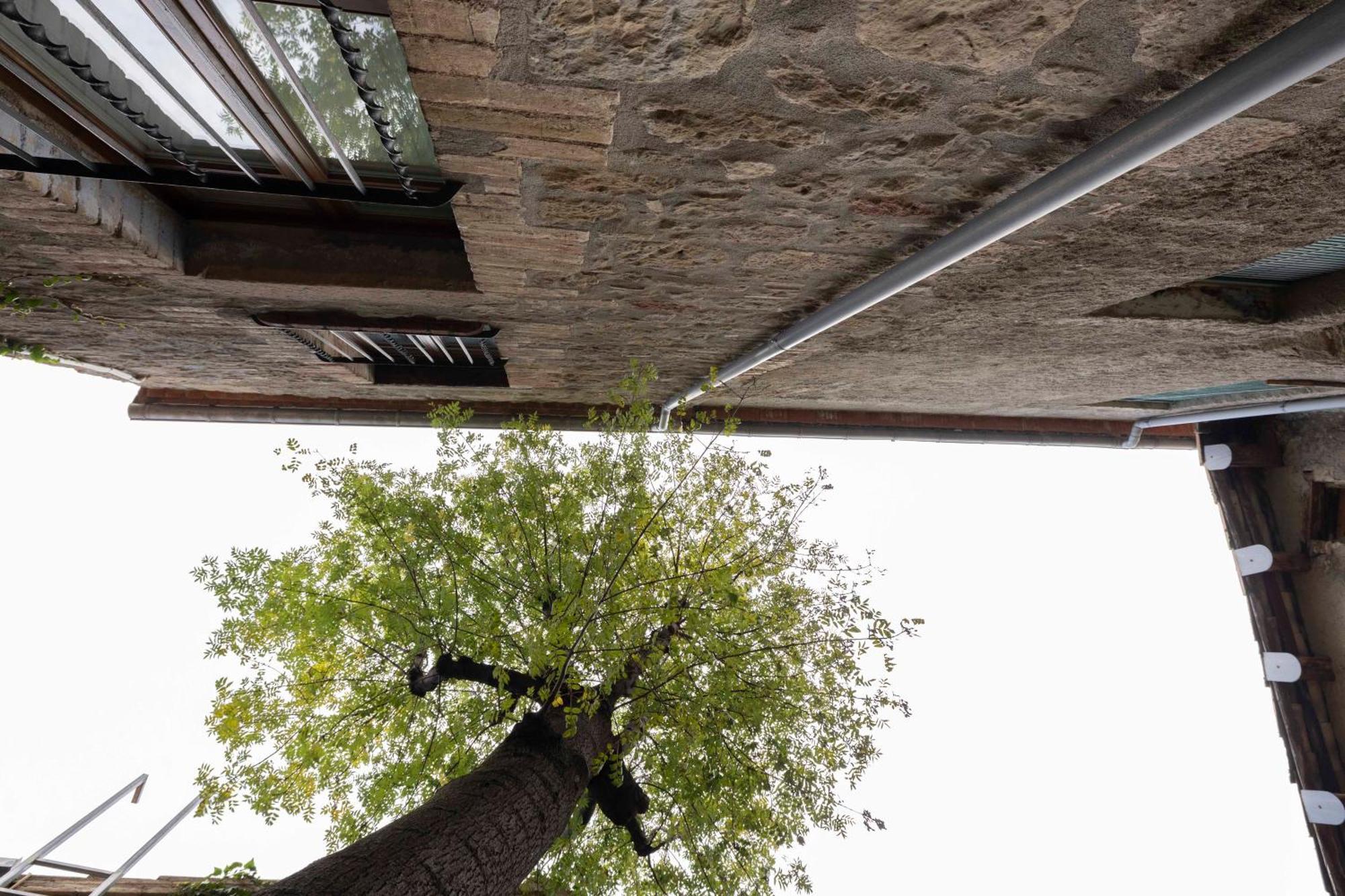 Hotel La Freixera Solsona Bagian luar foto