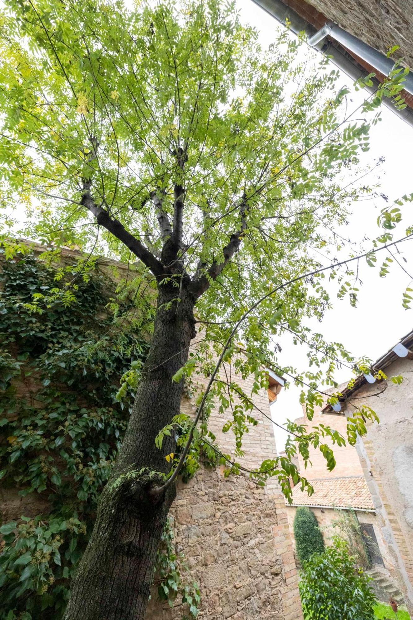 Hotel La Freixera Solsona Bagian luar foto