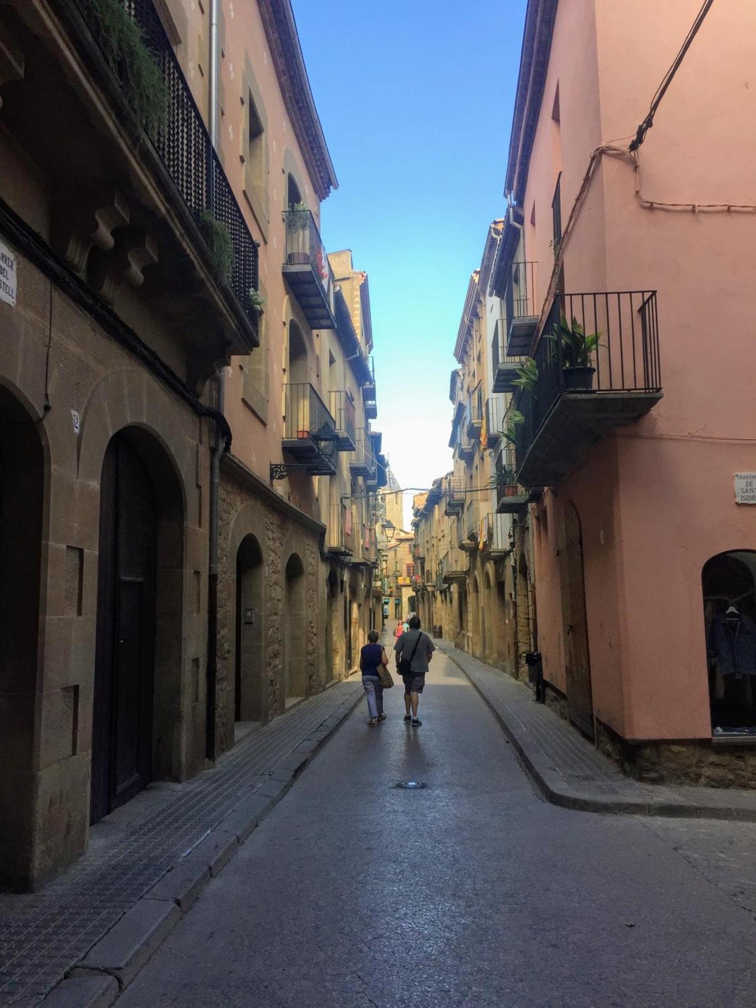 Hotel La Freixera Solsona Bagian luar foto